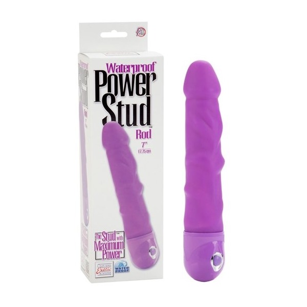 Power Stud Rod Waterproof Purple