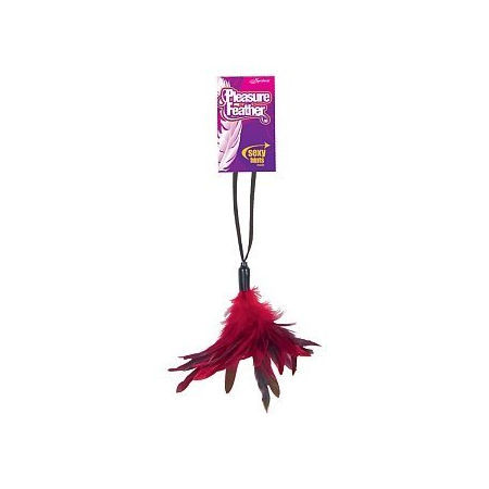 Pleasure Feathers-black(ea)