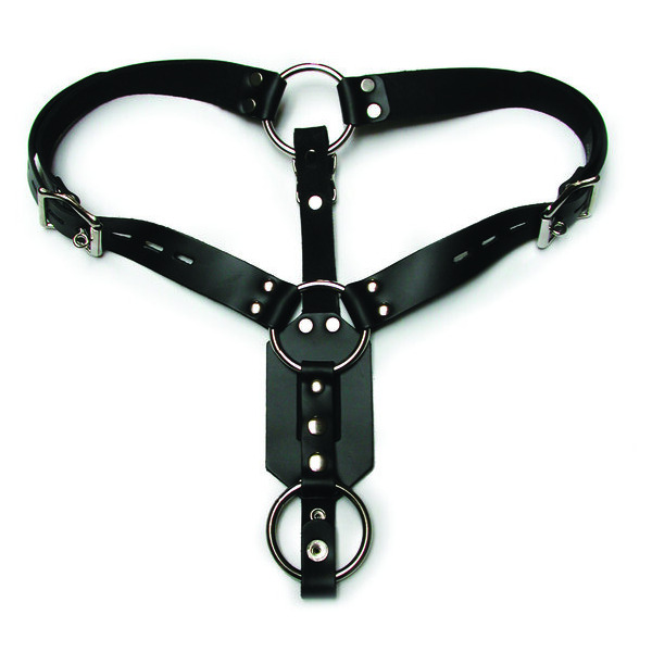 Butt Plug Harness W/cock Ring