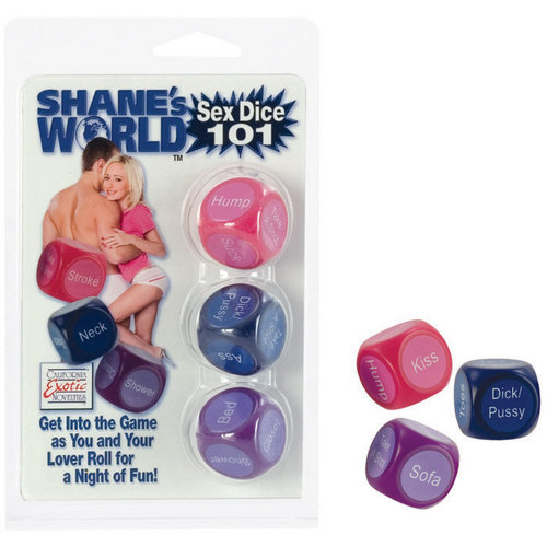 Shanes World Sex Dice 101