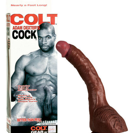 Colt Adam Dexter Dong