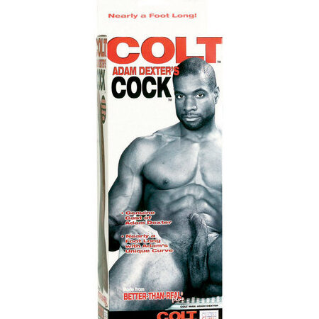 Colt Adam Dexter Dong
