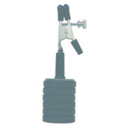 Weights W/clip Adjustable