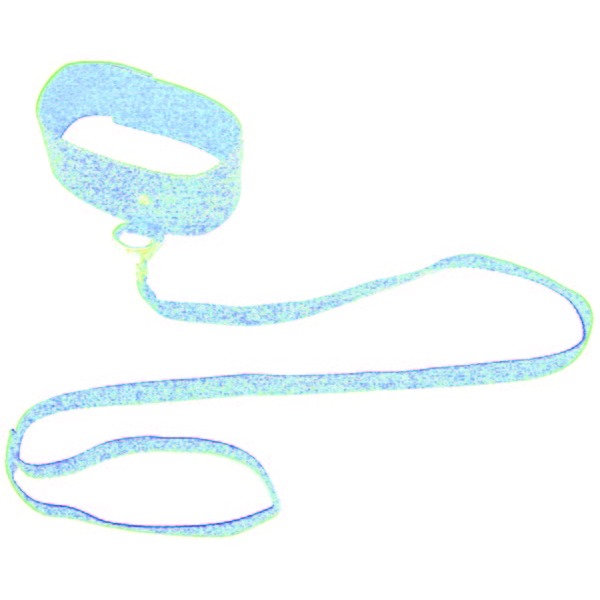 Sex & Mischief Black Leash & Collar