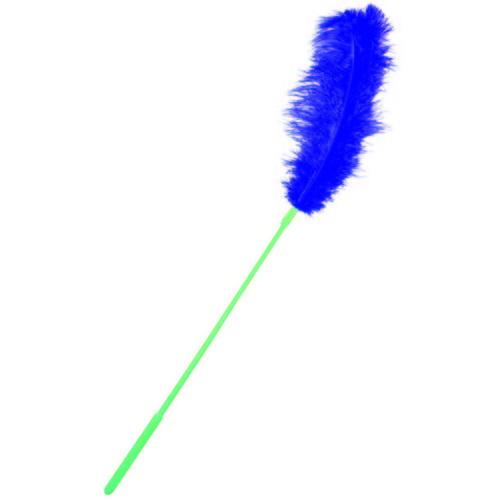Ostrich Feather Purple