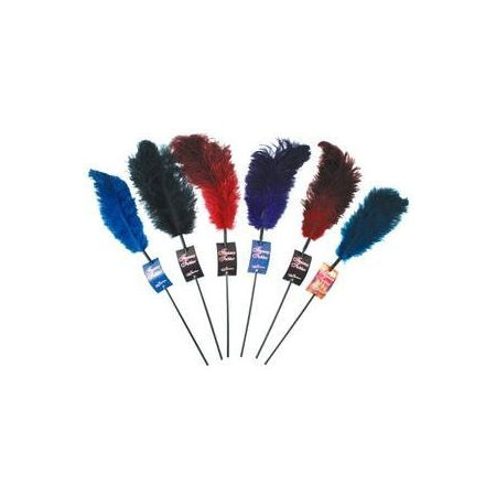 Ostrich Feather Red