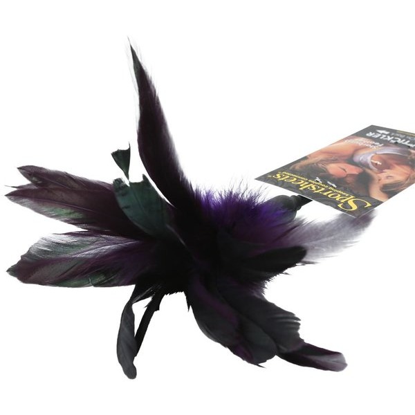 Starburst Feather Violet